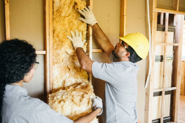 Best Spray Foam Insulation  in West Freehold, NJ